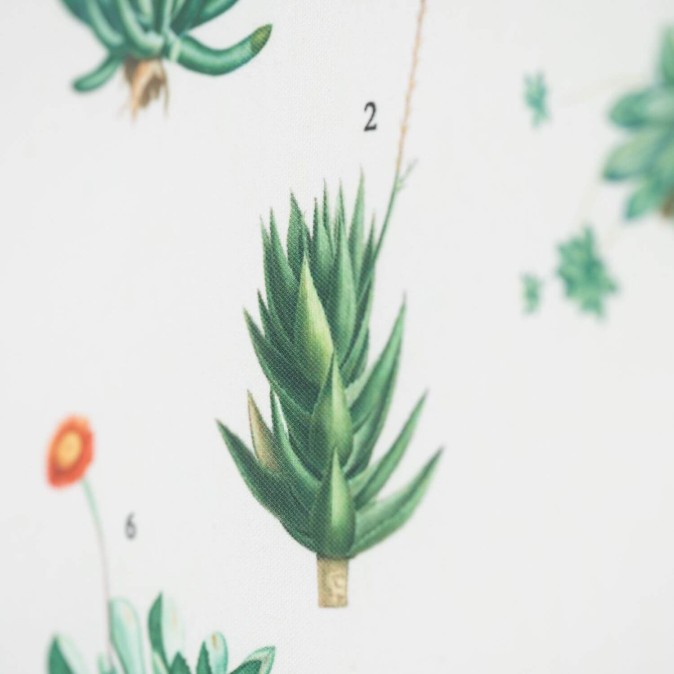 Botanical Cacti Wooden Wall Scroll