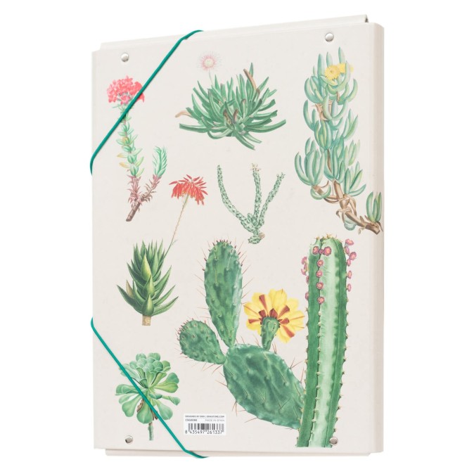 Botanical Cacti File Folder