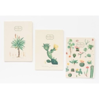 Pack 3 Botanical Cacti A5 Notebook