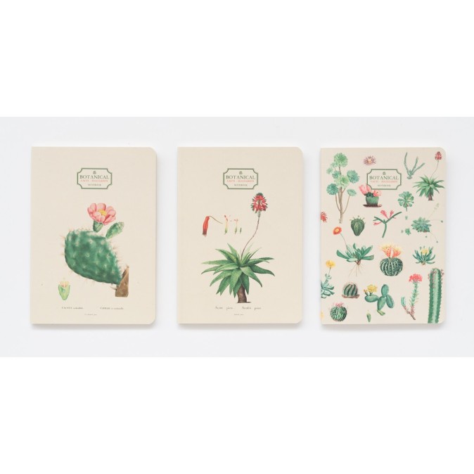 Pack 3 Botanical Cacti A6 Notebook
